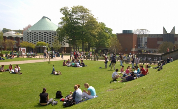 UNIVERSITY OF SUSSEX FALMER CAMPUS - BRIGHTON